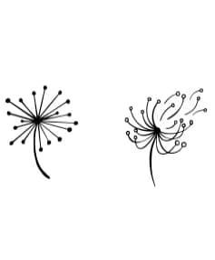 Cute Dandelion by Onoborgol — Dingbats Font — thumbnail 6