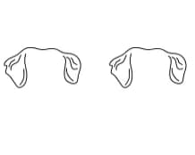 Cute Dog Ears by Sontaya — Dingbats Font — thumbnail 7