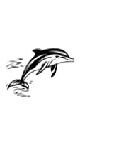 Cute Dolphin by MOMAT THIRTYONE — Dingbats Font — thumbnail 3