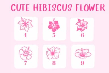 Cute Hibiscus Flower by CHANOK — Dingbats Font — thumbnail 4