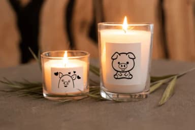 Cute Little Pig by Nongyao — Dingbats Font — thumbnail 7