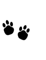 Cute Paws by MOMAT THIRTYONE — Dingbats Font — thumbnail 4