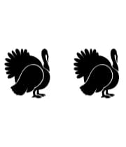 Cute Turkey by Heartcraft Atelier — Dingbats Font — thumbnail 8