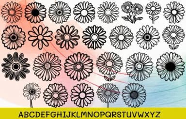 Daisy Flowers by MOMAT THIRTYONE — Dingbats Font — thumbnail 2