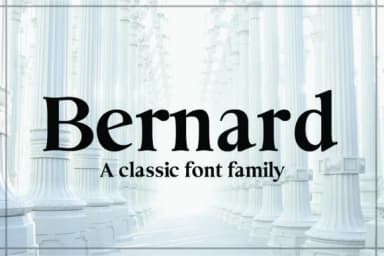 Damien by denestudios — Slab Serif Font — thumbnail 7