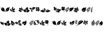 Dark Leaf by Sontaya — Dingbats Font — thumbnail 8