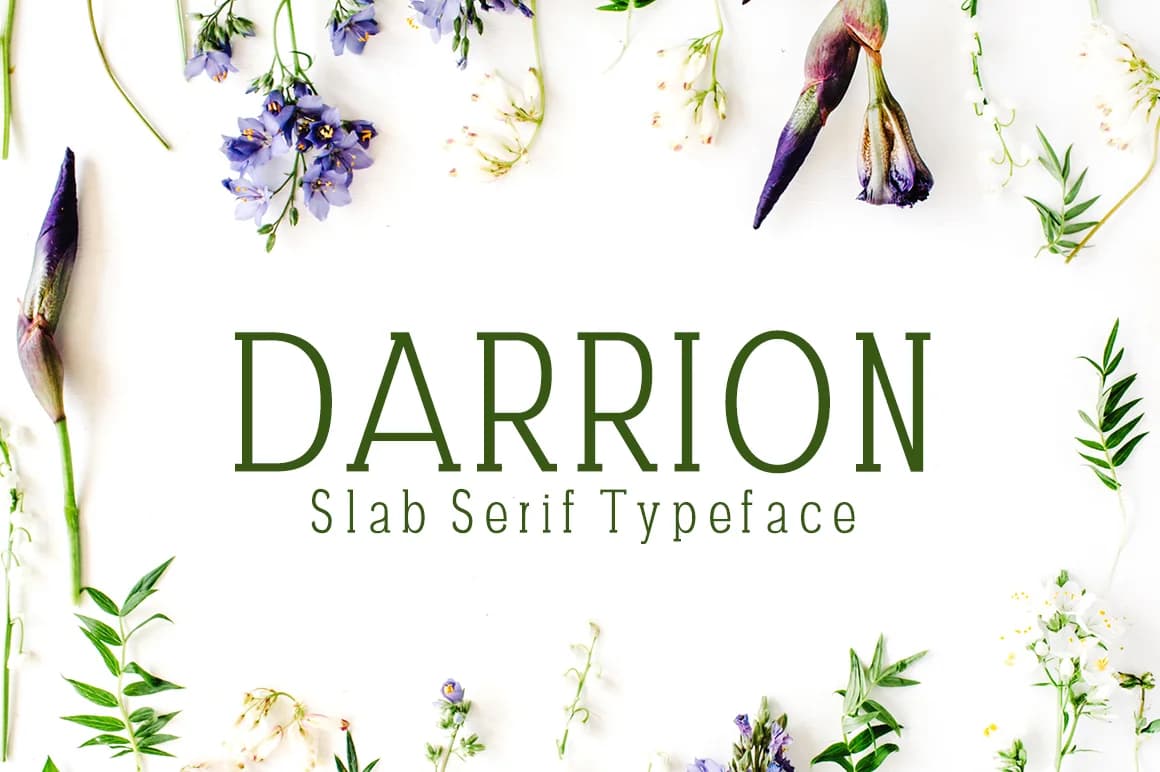 Darrion by creativetacos — Slab Serif Font