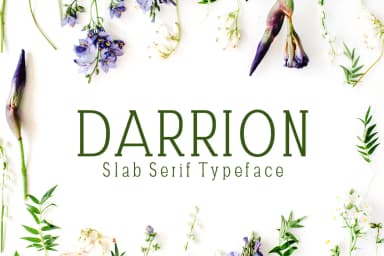 Darrion by creativetacos — Slab Serif Font — thumbnail 1