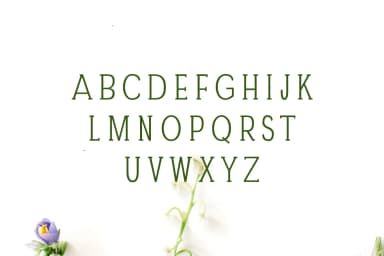 Darrion by creativetacos — Slab Serif Font — thumbnail 2