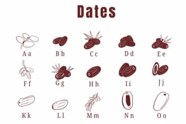 Dates by Suphitchaya — Dingbats Font — thumbnail 2
