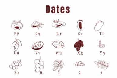 Dates by Suphitchaya — Dingbats Font — thumbnail 3