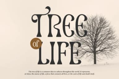 Dearshy Haislein by Denustudios — Slab Serif Font — thumbnail 2