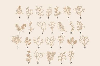 Decor Leaves by DesignFour — Dingbats Font — thumbnail 2