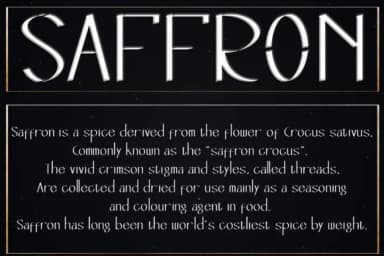 Designer by aprianaart — Slab Serif Font — thumbnail 6