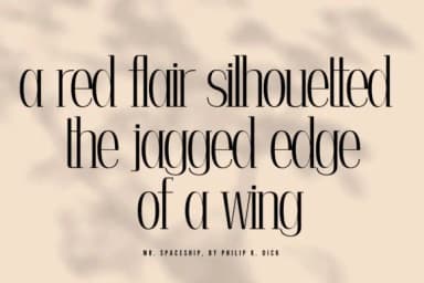 Diana by Minimalistartstudio — Slab Serif Font — thumbnail 3