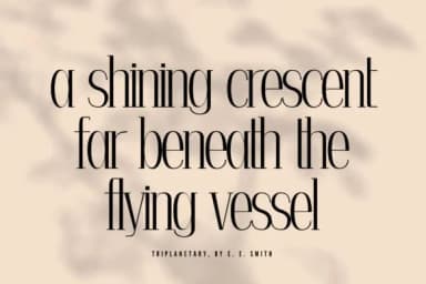 Diana by Minimalistartstudio — Slab Serif Font — thumbnail 5