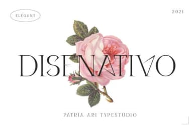 Disenativo by P4tcreativa — Slab Serif Font — thumbnail 1