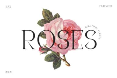 Disenativo by P4tcreativa — Slab Serif Font — thumbnail 4