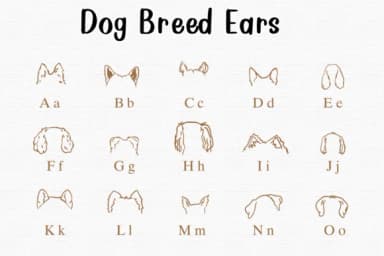 Dog Breed Ears by Nongyao — Dingbats Font — thumbnail 2