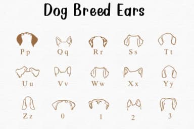 Dog Breed Ears by Nongyao — Dingbats Font — thumbnail 3