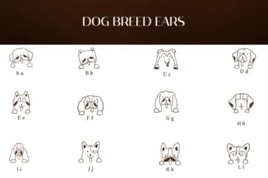 Dog Breed Faces by Heartcraft Atelier — Dingbats Font — thumbnail 2