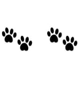 Dog Doodle by Nongyao — Dingbats Font — thumbnail 8