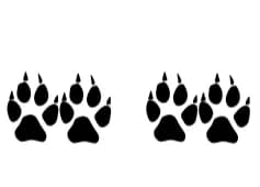 Dog Paw Doodle by Ketsarin — Dingbats Font — thumbnail 8