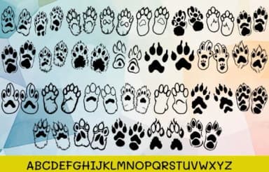 Dog Paws by MOMAT THIRTYONE — Dingbats Font — thumbnail 2