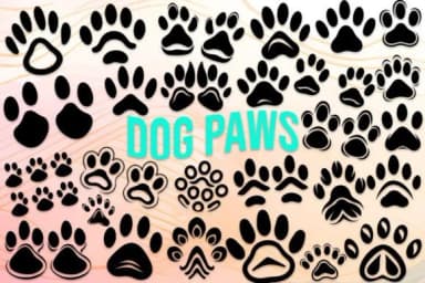 Dog Paws by MOMAT THIRTYONE — Dingbats Font — thumbnail 1