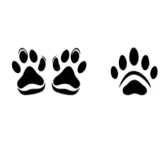 Dog Paws by MOMAT THIRTYONE — Dingbats Font — thumbnail 5