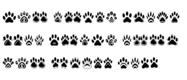 Dog Paws by MOMAT THIRTYONE — Dingbats Font — thumbnail 6