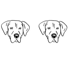 Dog Portrait by Heartcraft Atelier — Dingbats Font — thumbnail 8