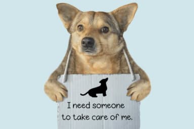 Dog Silhouettes by Pui Art — Dingbats Font — thumbnail 7