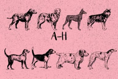 Dogs by Minimalistartstudio — Dingbats Font — thumbnail 2