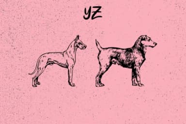 Dogs by Minimalistartstudio — Dingbats Font — thumbnail 5