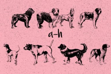 Dogs by Minimalistartstudio — Dingbats Font — thumbnail 6