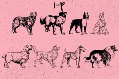 Dogs by Minimalistartstudio — Dingbats Font — thumbnail 7