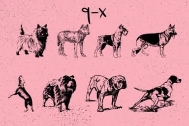 Dogs by Minimalistartstudio — Dingbats Font — thumbnail 8