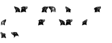 Dogs by vladimirnikolic — Dingbats Font — thumbnail 5