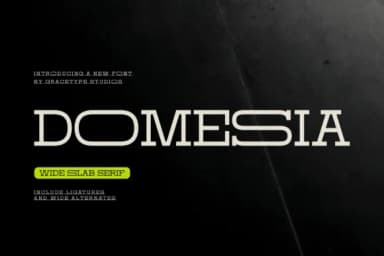 Domesia by Gracetypestudio — Slab Serif Font — thumbnail 1
