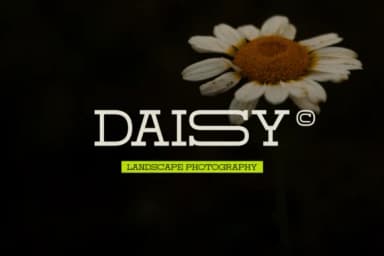 Domesia by Gracetypestudio — Slab Serif Font — thumbnail 3