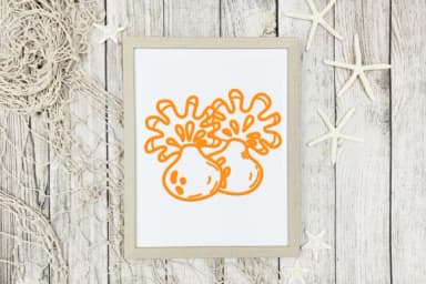 Doodle Coral by CHANOK — Dingbats Font — thumbnail 5