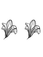 Doodle Flower by Nun Sukhwan — Dingbats Font — thumbnail 8