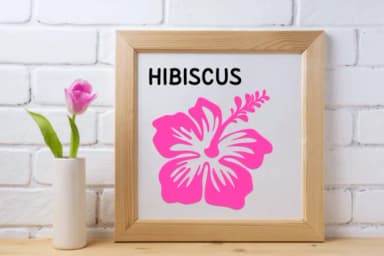 Doodle Holiday Summer by PraewDesigns — Dingbats Font — thumbnail 5