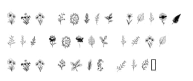 Doodlesprig by Happy Bamboo — Dingbats Font — thumbnail 5