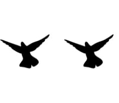 Doves by Ketsarin — Dingbats Font — thumbnail 8