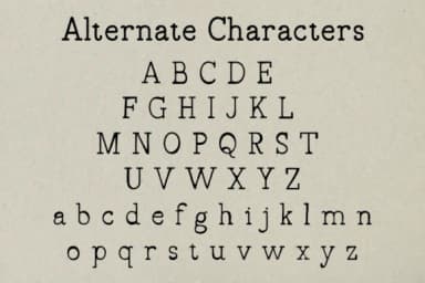 Draftside by Rvandtype — Slab Serif Font — thumbnail 8