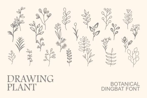Drawing Plant by Intype Studio — Dingbats Font