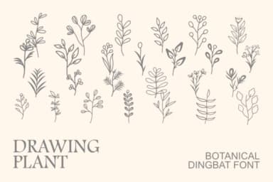 Drawing Plant by Intype Studio — Dingbats Font — thumbnail 1