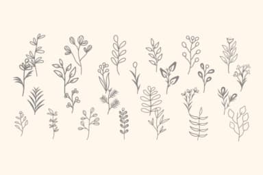 Drawing Plant by Intype Studio — Dingbats Font — thumbnail 2